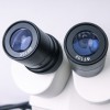 XT-III-40X 凤凰光学 专业双目体视显微镜图2