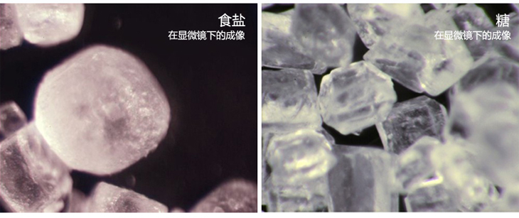 显微镜效果