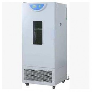 【厂家直销】恒科达牌BPMJ-250F液晶显示霉菌培养箱（无氟制冷）