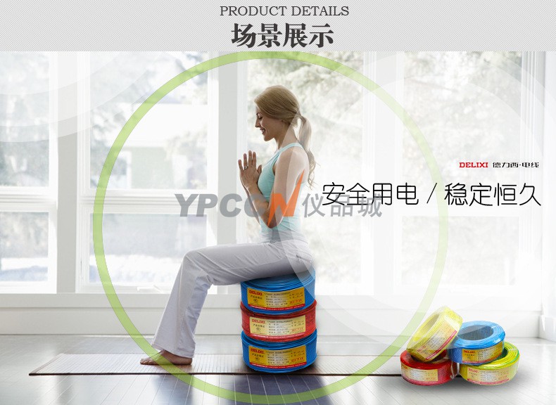 德力西 BVR10平方电缆