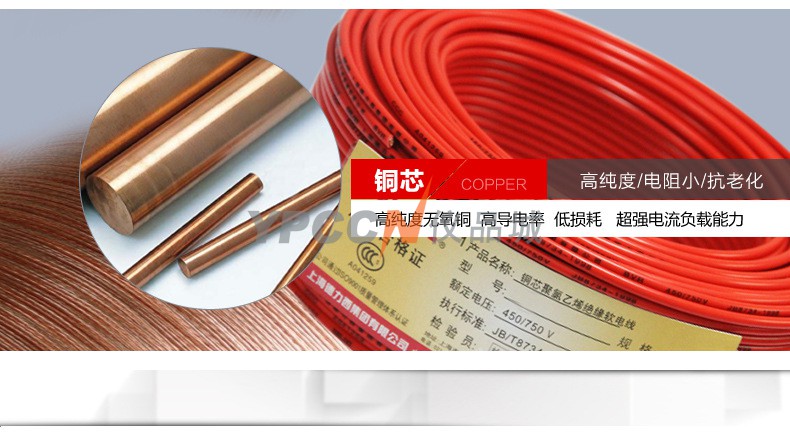 德力西 BVR10平方电缆